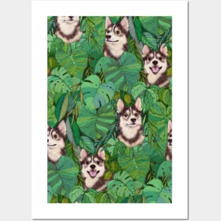 Pomsky Garden Posters and Art